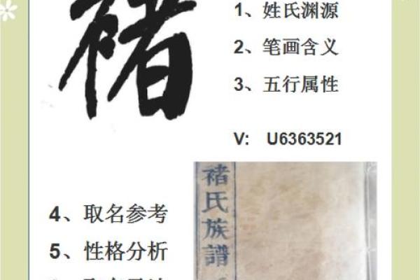 褚姓女孩名字大全-褚姓女孩起名字大全-褚姓名字大全姓名