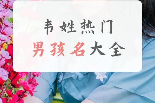 属猴申时出生的男孩如何起名，宜用什么字姓名