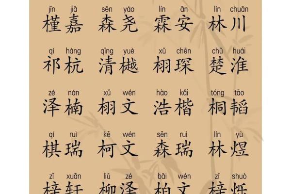 2019年5月26号卯时出生的男孩要怎么起名字姓名