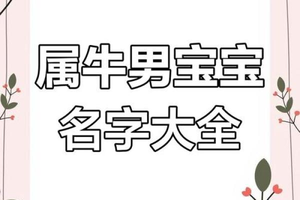 凌晨5点出生的属牛男孩取名有哪些适合的字姓名