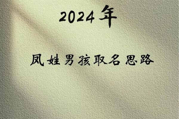 凤姓女孩名字大全-凤姓女孩起名字大全-凤姓名字大全姓名