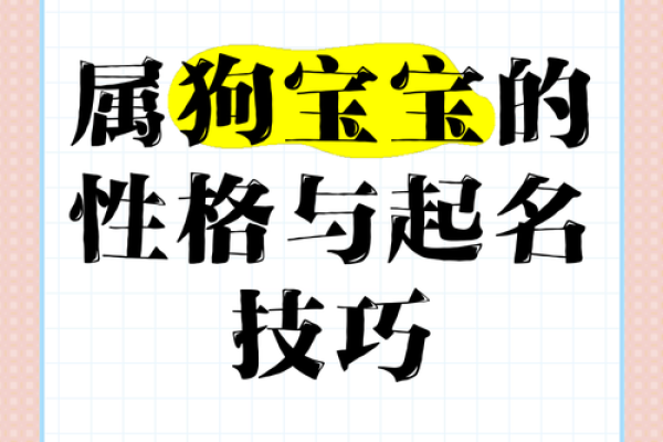 上午11点出生的属狗男孩怎么取名，用什么字好姓名