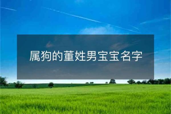 上午11点出生的属狗男孩怎么取名，用什么字好姓名