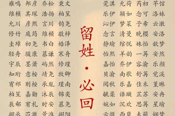 2019年4月11号辰时出生的男孩应该起什么样的名字姓名