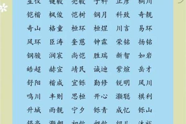 2019年4月11号辰时出生的男孩应该起什么样的名字姓名