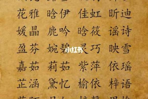 什么字适合给晚上11点出生的属鼠男孩起名姓名