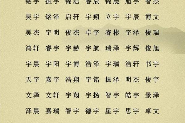 早上6点出生的属鸡男孩应该怎么样起名字姓名