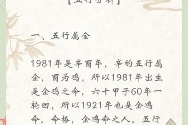早上6点出生的属鸡男孩应该怎么样起名字姓名