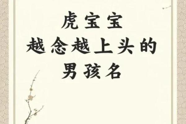上午11点出生的属虎男孩起什么名，用什么字姓名