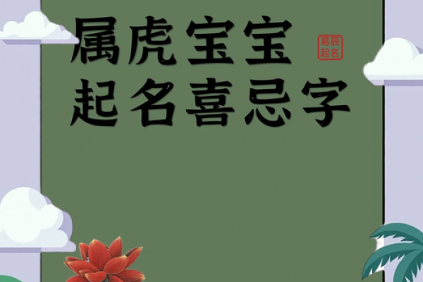 晚上11点出生的属虎男孩如何起名，应用什么字姓名