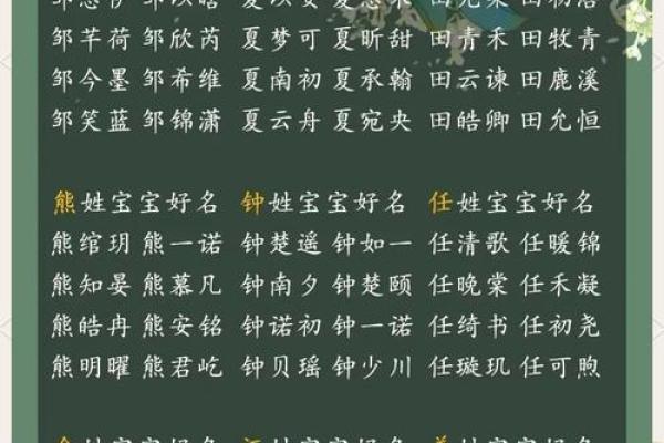 晚上11点出生的属虎男孩如何起名，应用什么字姓名