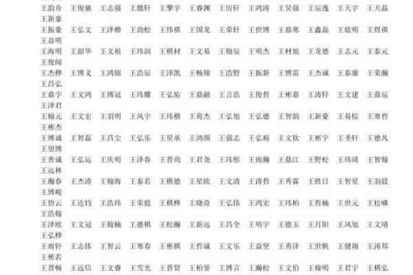 王姓男孩名字大全-王姓男孩起名字大全-王姓名字大全姓名