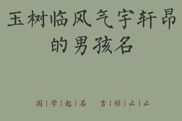 2019年3月24号丑时出生的男孩应该起什么样的名字姓名