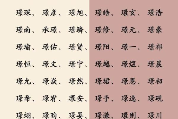 2019年3月21号子时出生的男孩应该起什么样的名字姓名