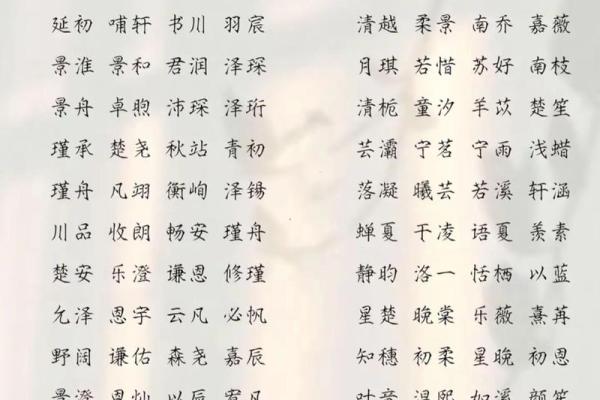 2019年3月23号巳时出生的男孩如何起名姓名