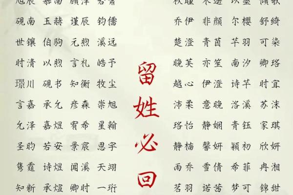 2019年3月23号巳时出生的男孩如何起名姓名