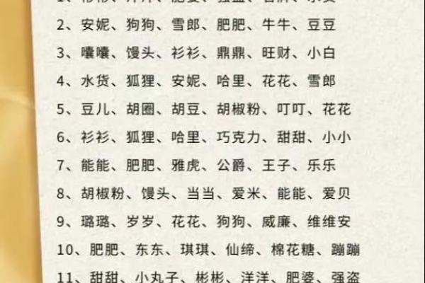 十月份出生的属狗男孩应该如何取一个好名字姓名