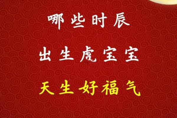 凌晨2点出生的属虎男孩如何起名，宜用什么字姓名