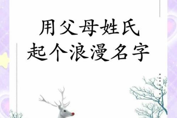怎么样下午4点出生的属鼠男孩取名字姓名
