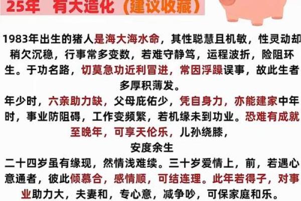 2019年出生属猪的男宝宝取名宜用字姓名 2019年出生属猪的男宝宝取名宜用字姓名