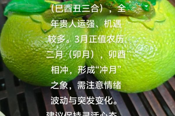 中午12点出生的属鸡男孩如何起名合适姓名